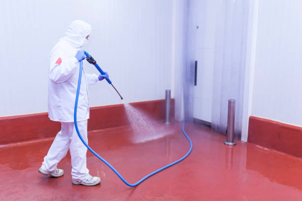 Best Commercial Pressure Washing in Cannon Falls, MN