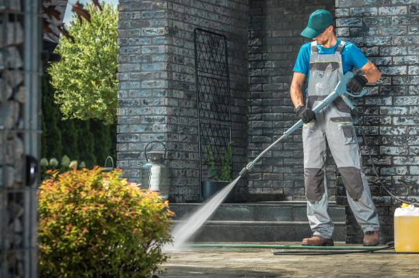 Best Soft Washing for Delicate Surfaces in Cannon Falls, MN