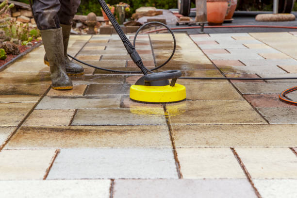 Best Roof Cleaning and Mildew Removal in Cannon Falls, MN